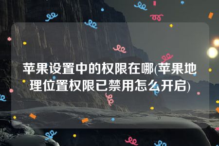 苹果设置中的权限在哪(苹果地理位置权限已禁用怎么开启)