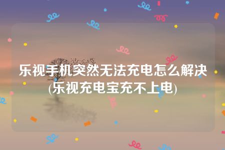 乐视手机突然无法充电怎么解决(乐视充电宝充不上电)