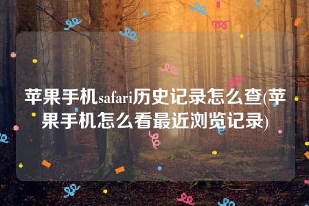 苹果手机safari历史记录怎么查(苹果手机怎么看最近浏览记录)