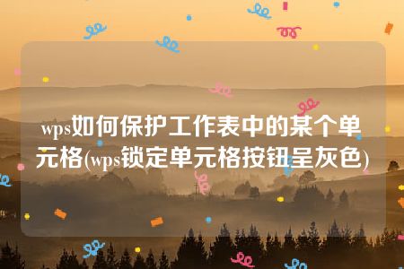 wps如何保护工作表中的某个单元格(wps锁定单元格按钮呈灰色)