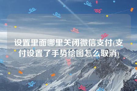 设置里面哪里关闭微信支付(支付设置了手势绘图怎么取消)