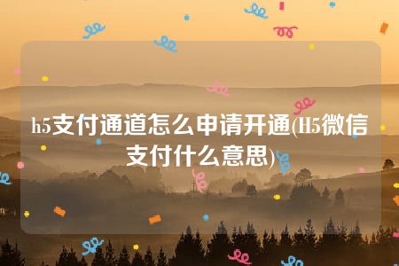 h5支付通道怎么申请开通(H5微信支付什么意思)