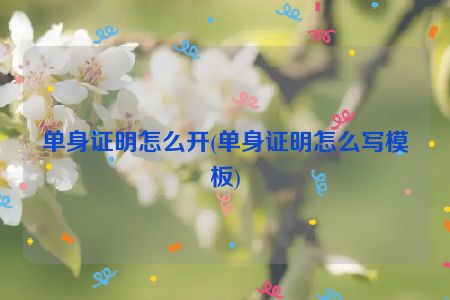 单身证明怎么开(单身证明怎么写模板)