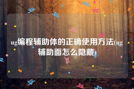 ug编程辅助体的正确使用方法(ug辅助面怎么隐藏)