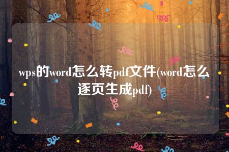 wps的word怎么转pdf文件(word怎么逐页生成pdf)