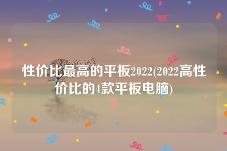 性价比最高的平板2022(2022高性价比的4款平板电脑)