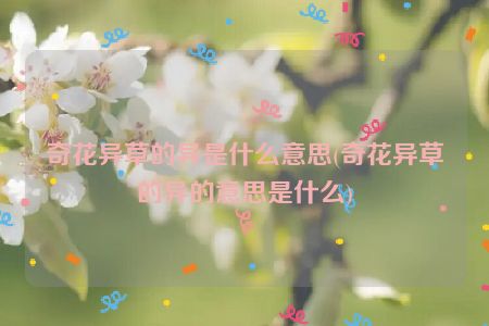 奇花异草的异是什么意思(奇花异草的异的意思是什么)