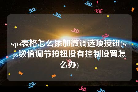 wps表格怎么添加微调选项按钮(wps数值调节按钮没有控制设置怎么办)