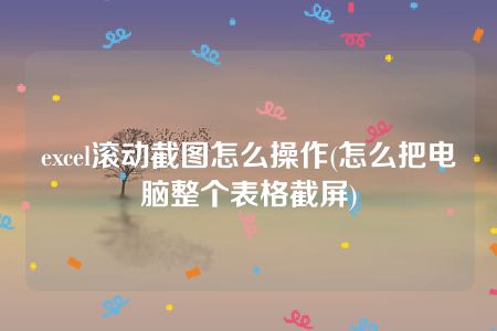 excel滚动截图怎么操作(怎么把电脑整个表格截屏)