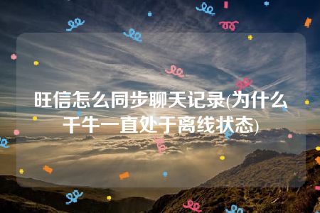 旺信怎么同步聊天记录(为什么千牛一直处于离线状态)