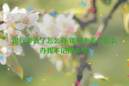 银行卡丢了怎么办(银行卡丢了怎么办我不记得卡号)