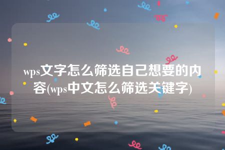 wps文字怎么筛选自己想要的内容(wps中文怎么筛选关键字)