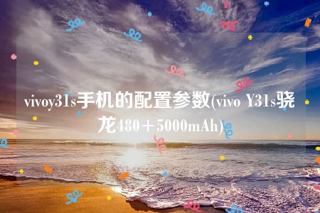 vivoy31s手机的配置参数(vivo Y31s骁龙480+5000mAh)