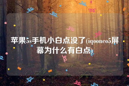 苹果5s手机小白点没了(iqooneo5屏幕为什么有白点)