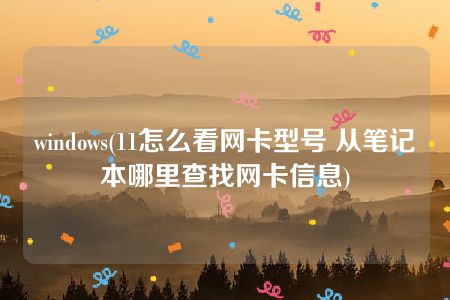 windows(11怎么看网卡型号 从笔记本哪里查找网卡信息)