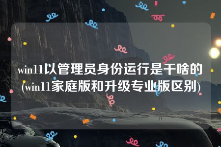 win11以管理员身份运行是干啥的(win11家庭版和升级专业版区别)