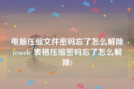 电脑压缩文件密码忘了怎么解除(excele 表格压缩密码忘了怎么解除)