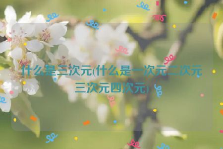 什么是三次元(什么是一次元二次元三次元四次元)