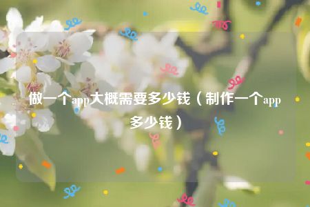 做一个app大概需要多少钱（制作一个app多少钱）