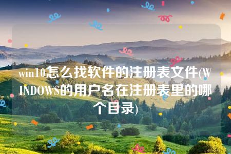 win10怎么找软件的注册表文件(WINDOWS的用户名在注册表里的哪个目录)