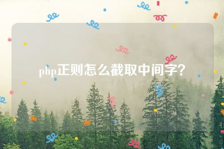 php正则怎么截取中间字？