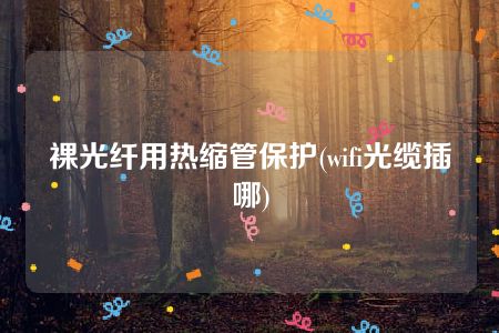 裸光纤用热缩管保护(wifi光缆插哪)