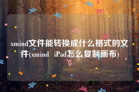 xmind文件能转换成什么格式的文件(xmind  iPad怎么复制画布)