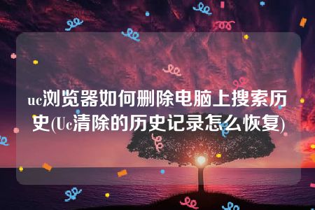 uc浏览器如何删除电脑上搜索历史(Uc清除的历史记录怎么恢复)