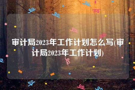 审计局2023年工作计划怎么写(审计局2023年工作计划)