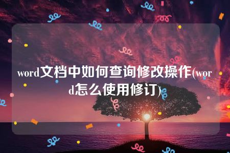 word文档中如何查询修改操作(word怎么使用修订)