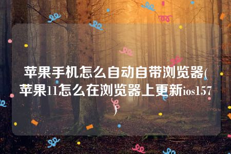 苹果手机怎么自动自带浏览器(苹果11怎么在浏览器上更新ios157)