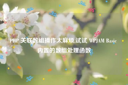 PHP 关联数组操作太麻烦,试试 WPJAM Basic 内置的数组处理函数