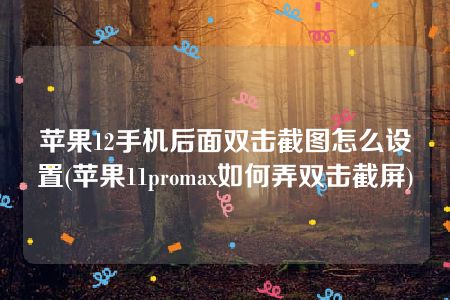 苹果12手机后面双击截图怎么设置(苹果11promax如何弄双击截屏)