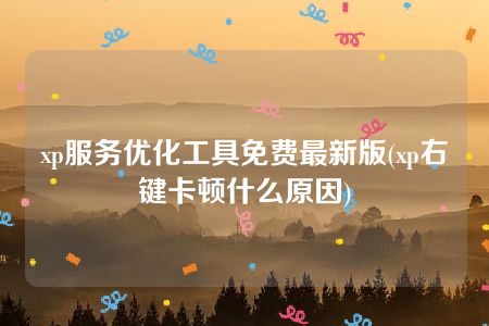 xp服务优化工具免费最新版(xp右键卡顿什么原因)