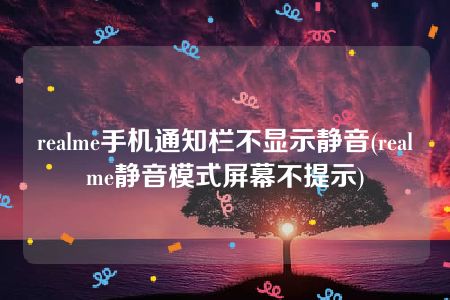 realme手机通知栏不显示静音(realme静音模式屏幕不提示)