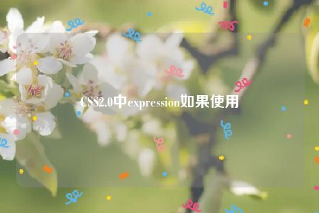 CSS2.0中expression如果使用