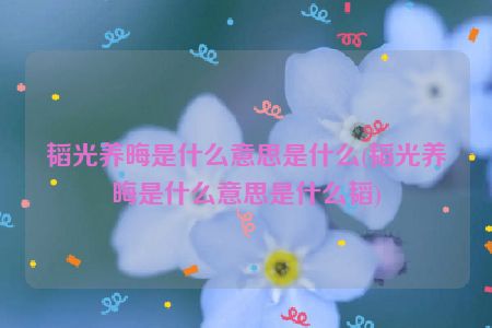 韬光养晦是什么意思是什么(韬光养晦是什么意思是什么韬)