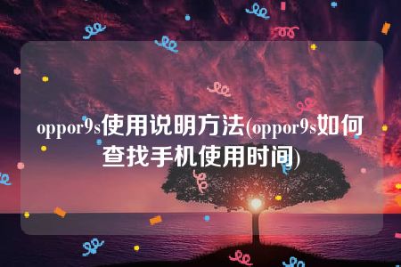 oppor9s使用说明方法(oppor9s如何查找手机使用时间)