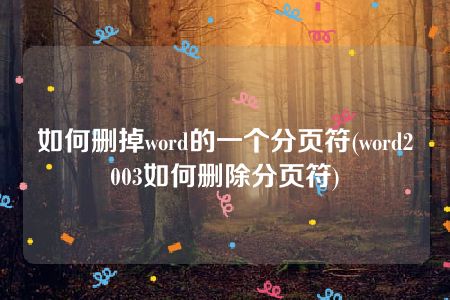 如何删掉word的一个分页符(word2003如何删除分页符)