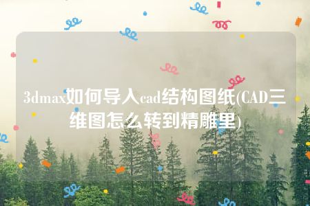 3dmax如何导入cad结构图纸(CAD三维图怎么转到精雕里)