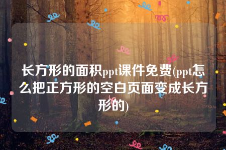 长方形的面积ppt课件免费(ppt怎么把正方形的空白页面变成长方形的)