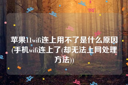 苹果11wifi连上用不了是什么原因(手机wifi连上了(却无法上网处理方法))