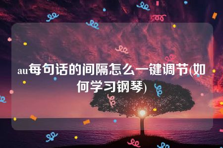 au每句话的间隔怎么一键调节(如何学习钢琴)