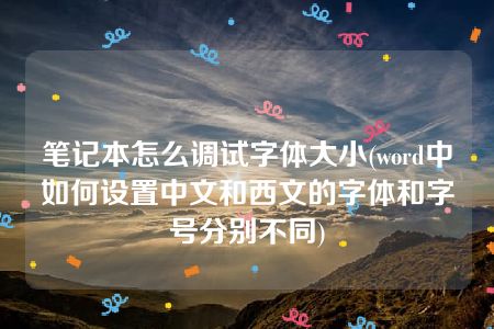 笔记本怎么调试字体大小(word中如何设置中文和西文的字体和字号分别不同)