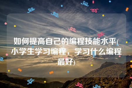 如何提高自己的编程技能水平(小学生学习编程，学习什么编程最好)