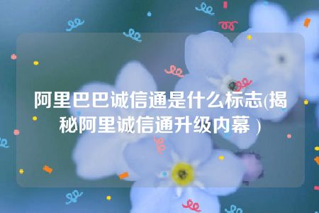 阿里巴巴诚信通是什么标志(揭秘阿里诚信通升级内幕 )