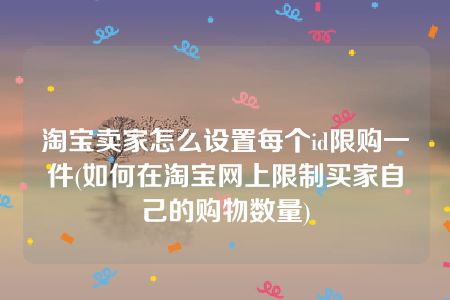 淘宝卖家怎么设置每个id限购一件(如何在淘宝网上限制买家自己的购物数量)