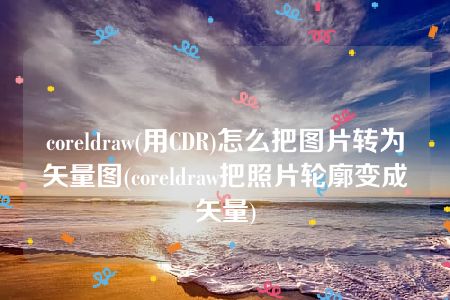 coreldraw(用CDR)怎么把图片转为矢量图(coreldraw把照片轮廓变成矢量)