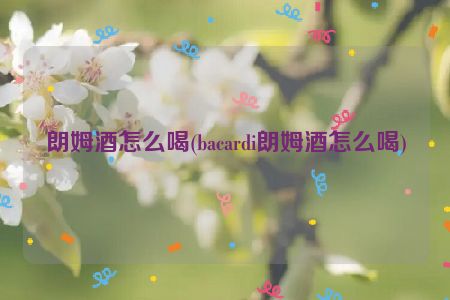 朗姆酒怎么喝(bacardi朗姆酒怎么喝)