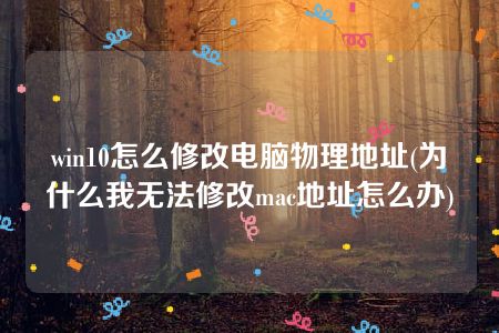 win10怎么修改电脑物理地址(为什么我无法修改mac地址怎么办)